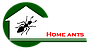 Home Ants
