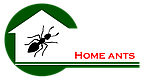 Home Ants