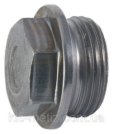 Пробка (заглушка) для труб нарізна циліндрична із шестигранною головкою і фланцем DIN 7604 від М8 — М52, фото 1