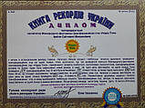 Каталог трансформаційних ігор ( видання четверте - 2019г. ), Світлана Ірхіна, фото 4