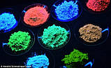 800 грамів флуоресцентний порошок Нокстон (8 кольорів по 100 грамів), фото 8
