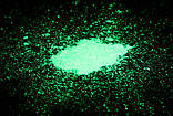 800 грамів флуоресцентний порошок Нокстон (8 кольорів по 100 грамів), фото 9