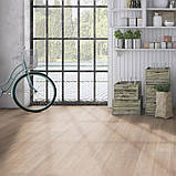 Sawn Bisque Oak, фото 4
