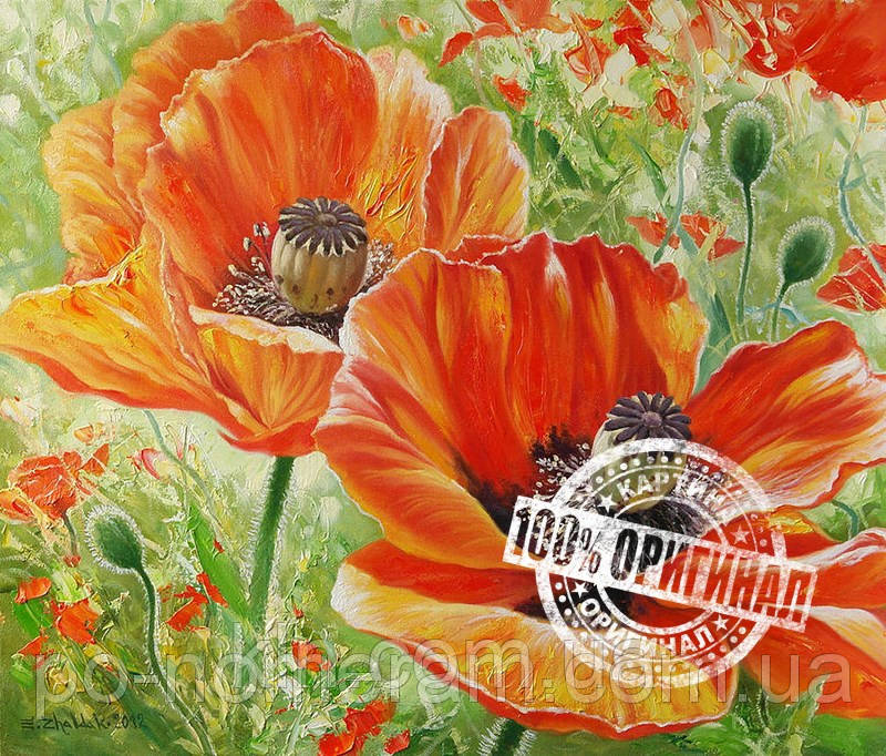 Картина за номерами Menglei Макі на полі VD022 30 х 40 см, фото 1