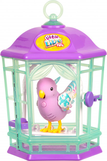 Moose little sale live pets