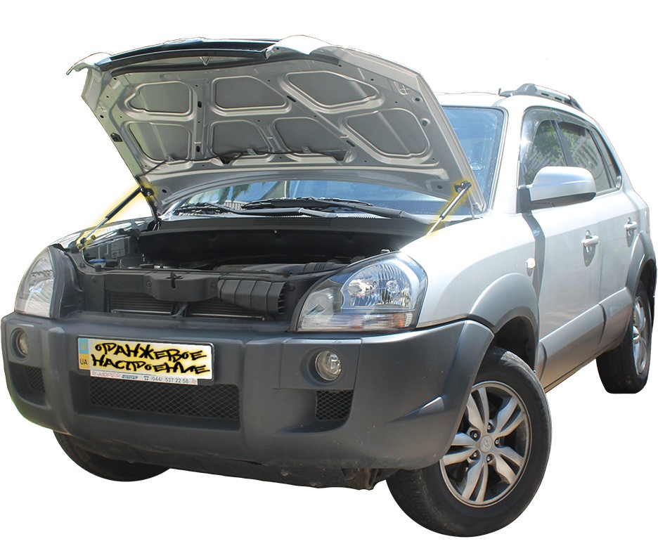 Газовий упор капота Hyundai Tucson (2004-2009) (2 шт.)