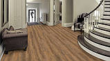 Sylvan Gold Oak, фото 3
