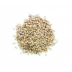 Коріандр зерно, 250 г