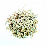 Лимонна трава