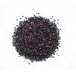 Кіноа чорна, 25 кг