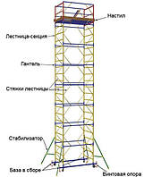 Вишка-турa