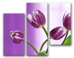 Набори схем для вишивки бісером "Tela Artis" Бузковий етюд СК-001