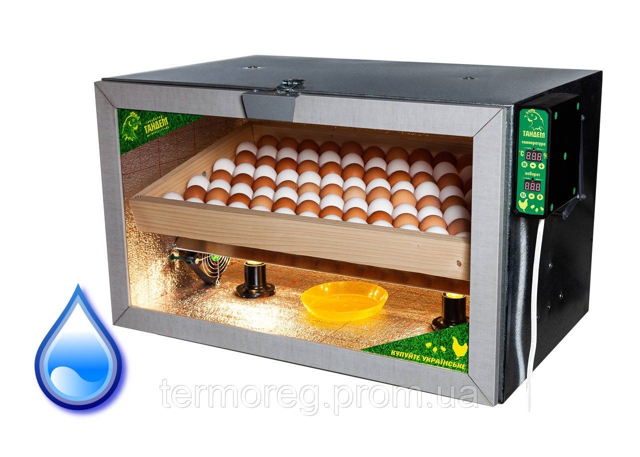 Інкубатор Тандем 100 автомат + Вологість (на 100 курячих яєць)