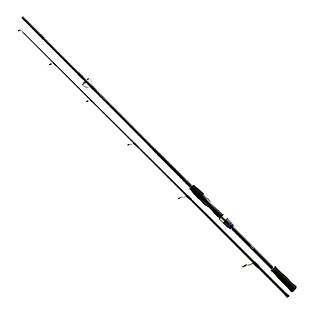 Спінінг Daiwa Prorex XR 2020 Spin 2.40 m 30-70 gr