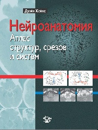 Хейнс Д. Нейроанатомия: атлас структур, зрізів і систем