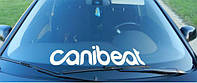 Виниловые наклейки на авто " CANIBEAT 2 " 60х15 см