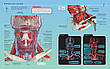 Анатомія людини 360°. Ілюстрований атлас Джеймі Роубак, фото 2