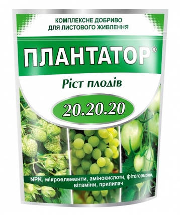 Добриво Плантатор Ріст плодів NPK 20-20-20, 1 кг, Кіссон, фото 1