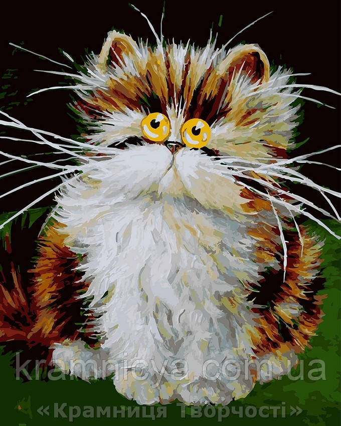 Картина за номерами Милий котик, 40х50 (GX24656)