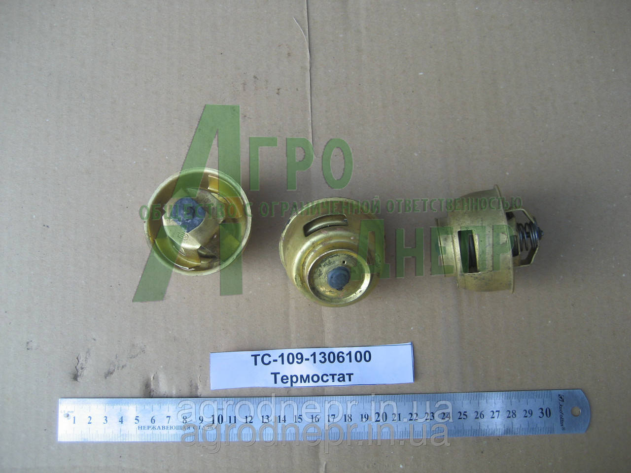 Термостат ТС-109-1306100, фото 1