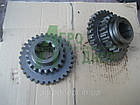 Шестерня 2 і 4 передачі ЮМЗ 40-1701117 Z=32/21, фото 5