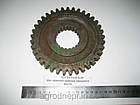 Шестерня провідна приводу переднього моста ЮМЗ 8240 75-1701114-Б Z=37, фото 2
