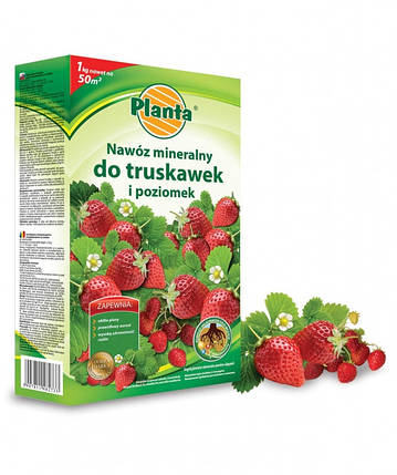 Добриво Planta для Полуниці в гранулах 1кг, фото 1