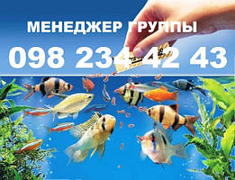 Корм для риб