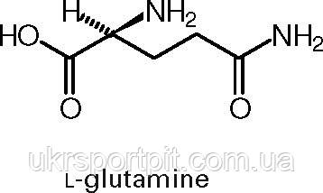 L-Glutamine (Л-Глютамин) 100 г - фото 4 - id-p8277644
