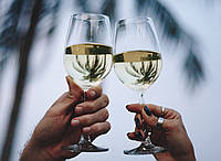 Пийте до дна: келихи, з яких хочеться пити