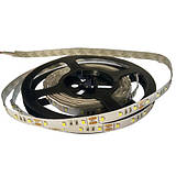 SMD2835 (60 LED/м) 12vdc indoor ip-20