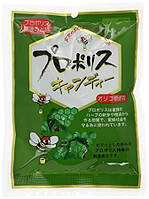 Morikawa Kenkodo детские конфеты с прополисом и медом уп 23 шт