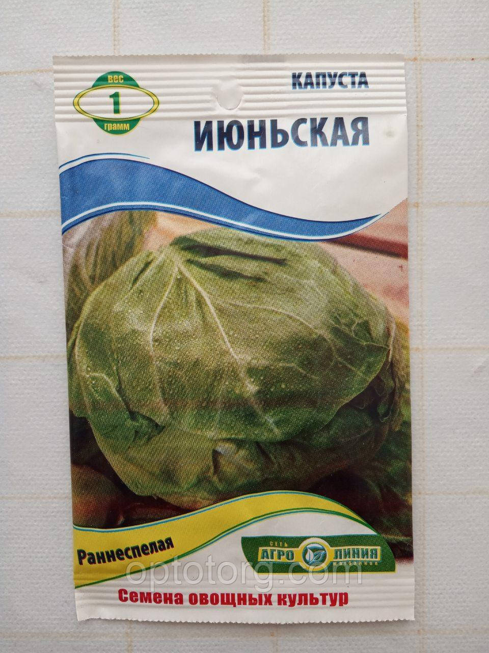 Насіння капусти Ялина 1 г, фото 1