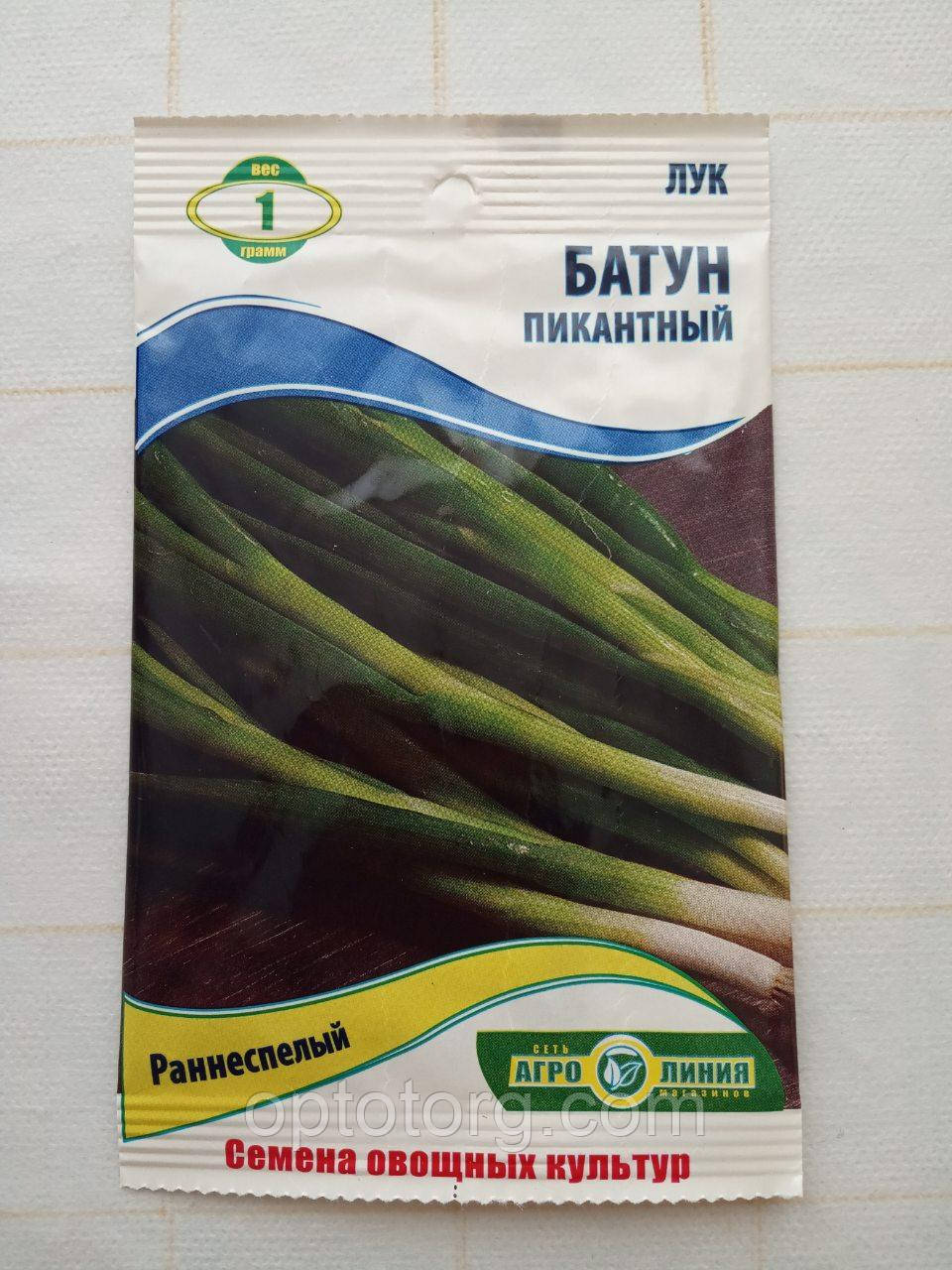 Насіння лука батун пікантне 1 гр, фото 1
