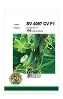Семена Огурец самоопыляющийся SV 4097 CV F,100 семян Seminis Агропак