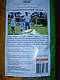 Насіння газонної трави, Газон універсальний" 1 кг, фото 2