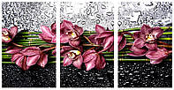 Модульная картина на холсте на стену для интерьера/спальни/офиса DK Дикая орхидея 100х53 см (M3-c697 61)