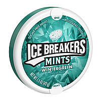 Ice Breakers Mints Wintergreen 42g