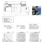 Гідравлічний циліндр подвійної дії 300/010 Flowfit, фото 2