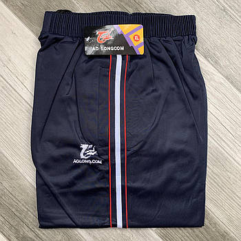 Штани спортивні чоловічі AO Longcom, розміри XL-5XL, модель 0363/4, сині