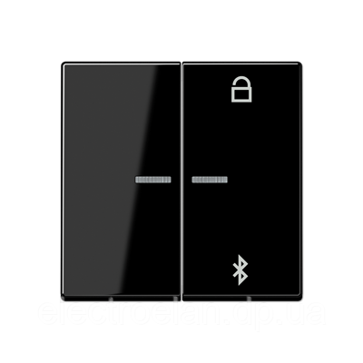 Таймер універсальний Bluetooth A1751BTSW A1751BFBTSW