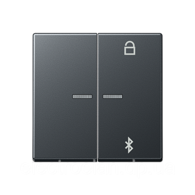 Таймер універсальний Bluetooth A1751BTSW A1751BFBTANM