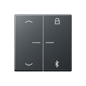 Таймер універсальний Bluetooth «стрілки» A1751PBTSW A1751BFPBTANM