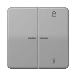 Таймер універсальний Bluetooth CD1751BT CD1751BTGR