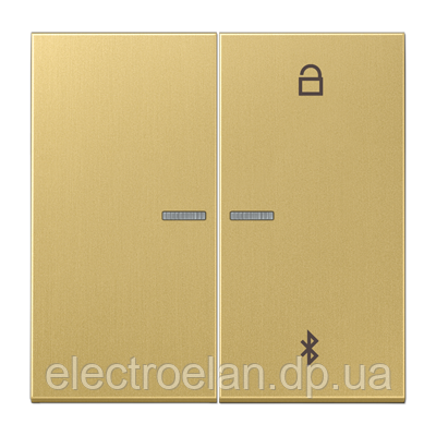 Таймер універсальний Bluetooth LS1751BTLG ME1751BTC