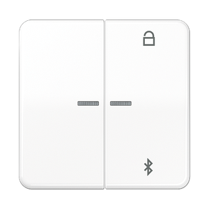 Таймер універсальний Bluetooth CD1751BT CD1751BTWW