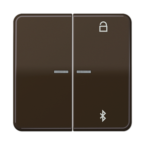 Таймер універсальний Bluetooth CD1751BT CD1751BTBR