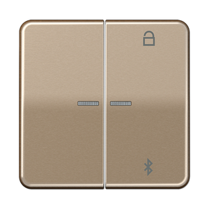 Таймер універсальний Bluetooth CD1751BT CD1751BTGB