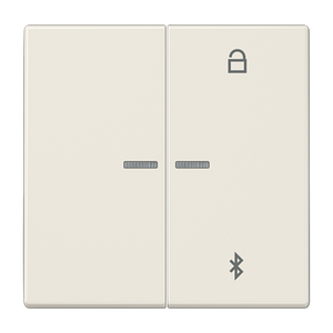 Таймер універсальний Bluetooth LS1751BT