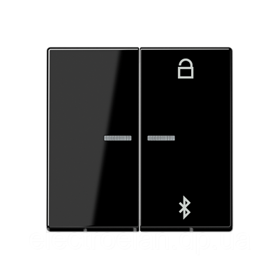 Таймер універсальний Bluetooth A1751BTSW